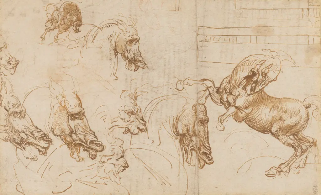 Expressions of fury in horses, a lion and a man